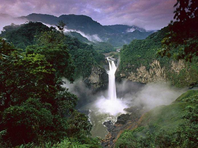 Дождевые леса Амазонки в Южной Америке