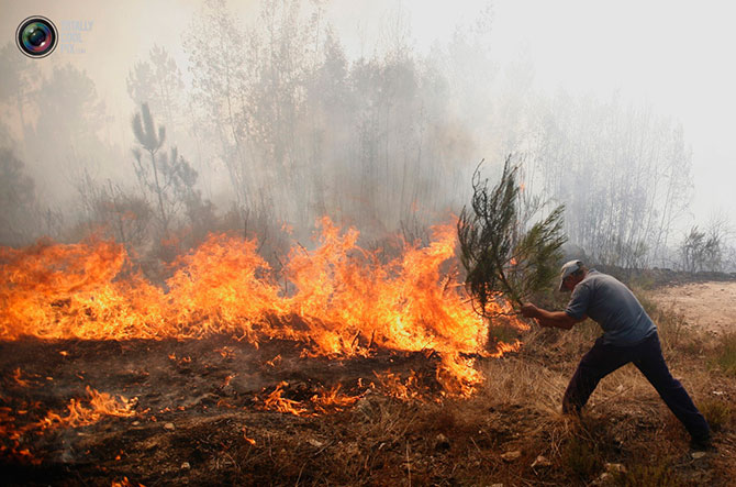 Mangualde, Португалия лесной пожар