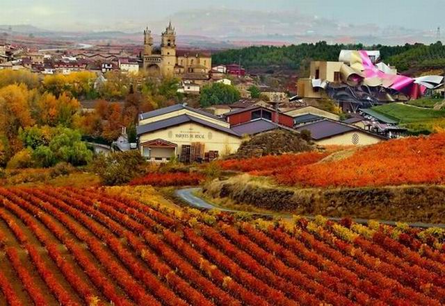 Виноградники Испании